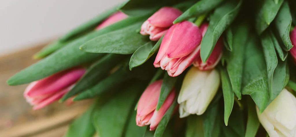 A Guide to Birth Flowers for Each Month
