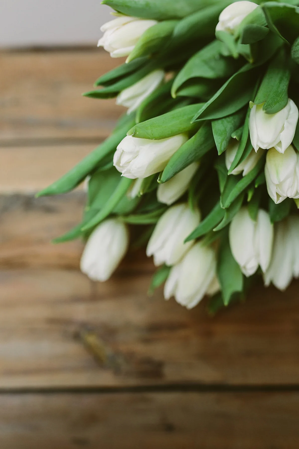Designer's Choice : SEASONAL MIX