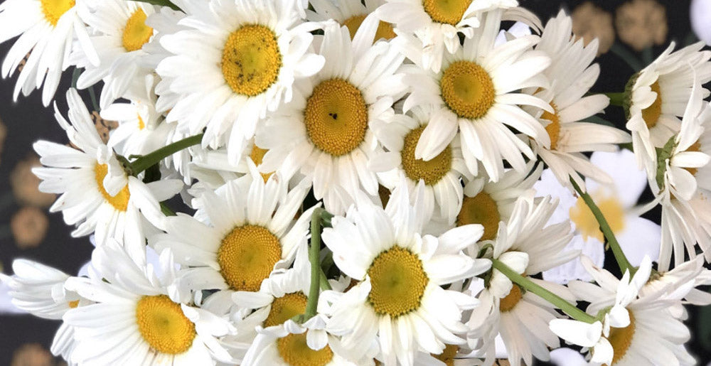 April Birth Flowers