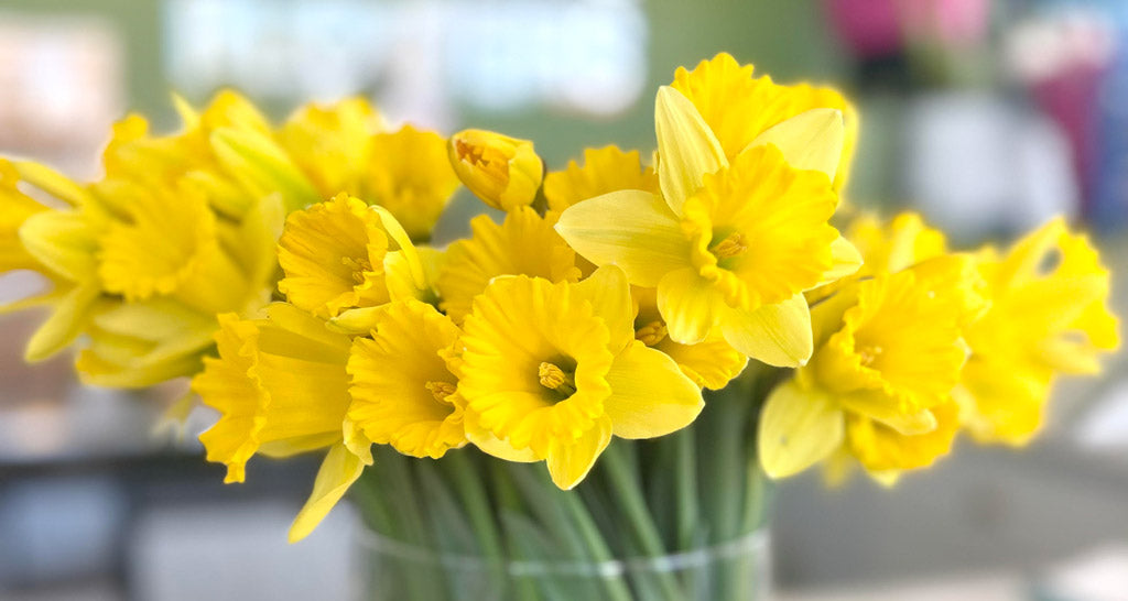 March Birth Flowers