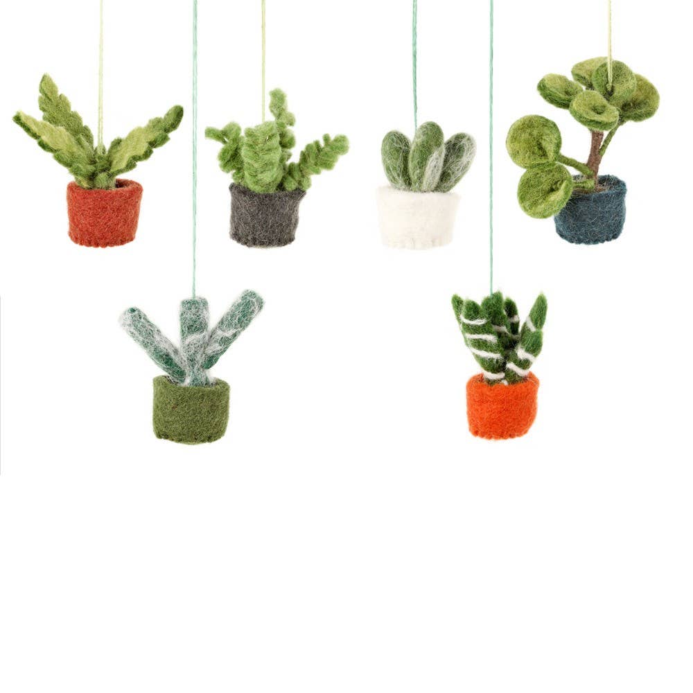 hanging mini plants Felt So Good Felt Assorted Mini Hanging Plants