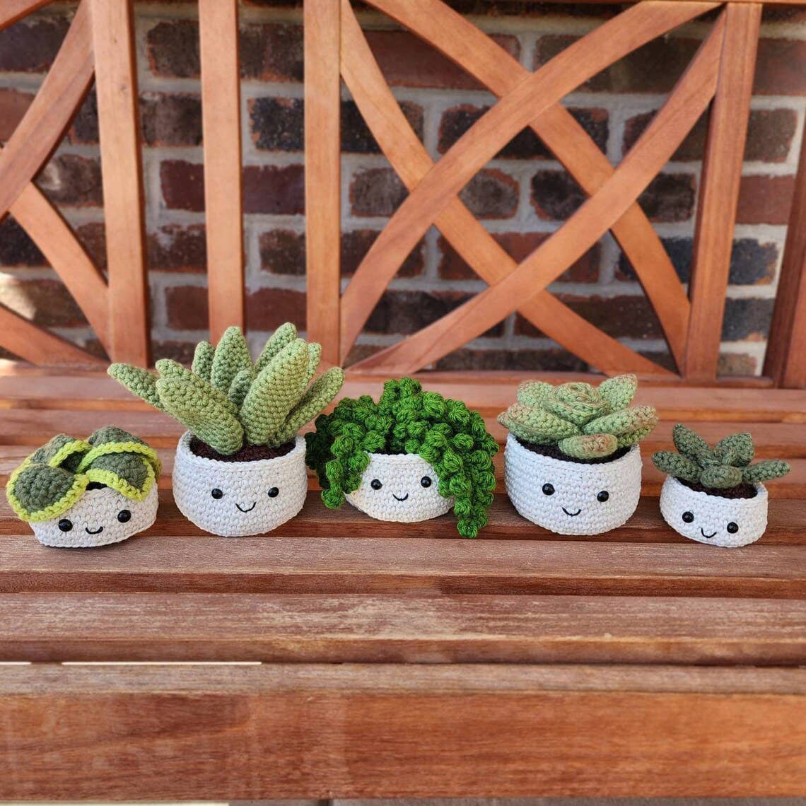 fly trap succulent Crochet Succulent Venus Fly Trap