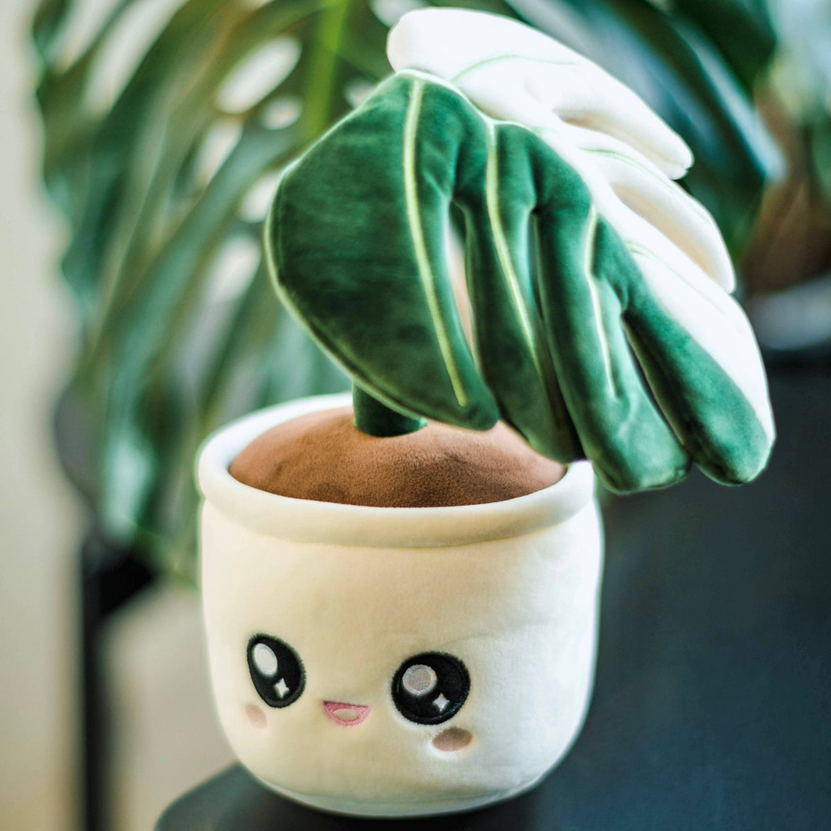 buy monstera deliciosa albo variegata Monstera Deliciosa Albo Variegata Plushie