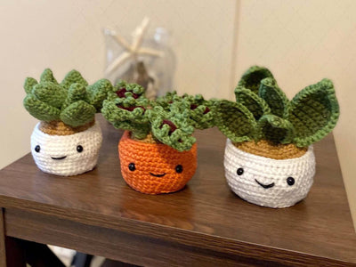 Crochet Succulent Plant, Amigurumi -  Snake Plant