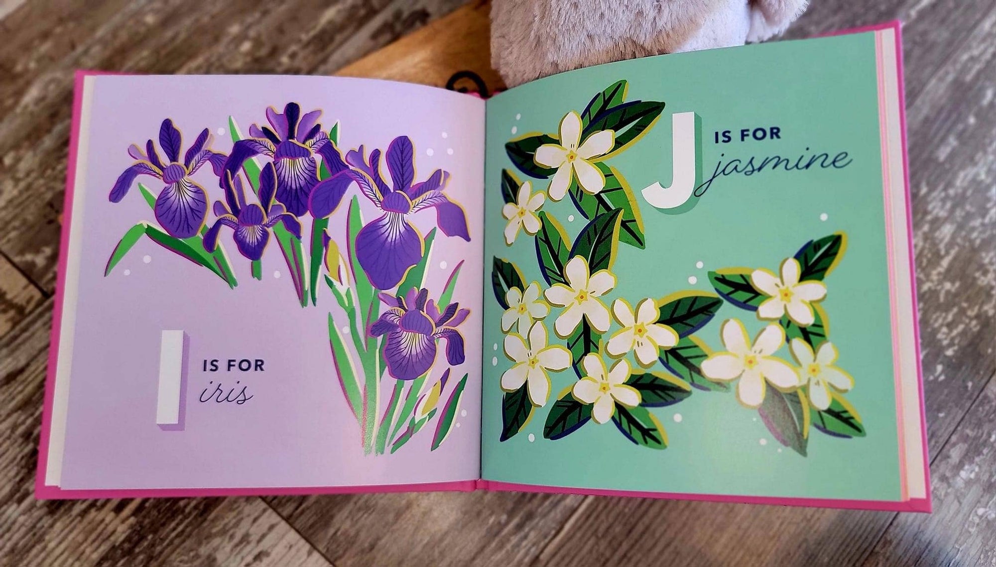 The Alphabet in Bloom Book