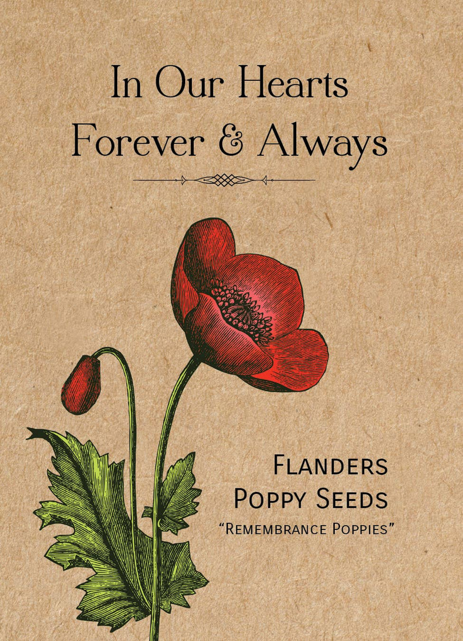 In Our Hearts Remembrance Memorial - Flanders Poppy Seeds