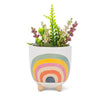 Small Rainbow Planter