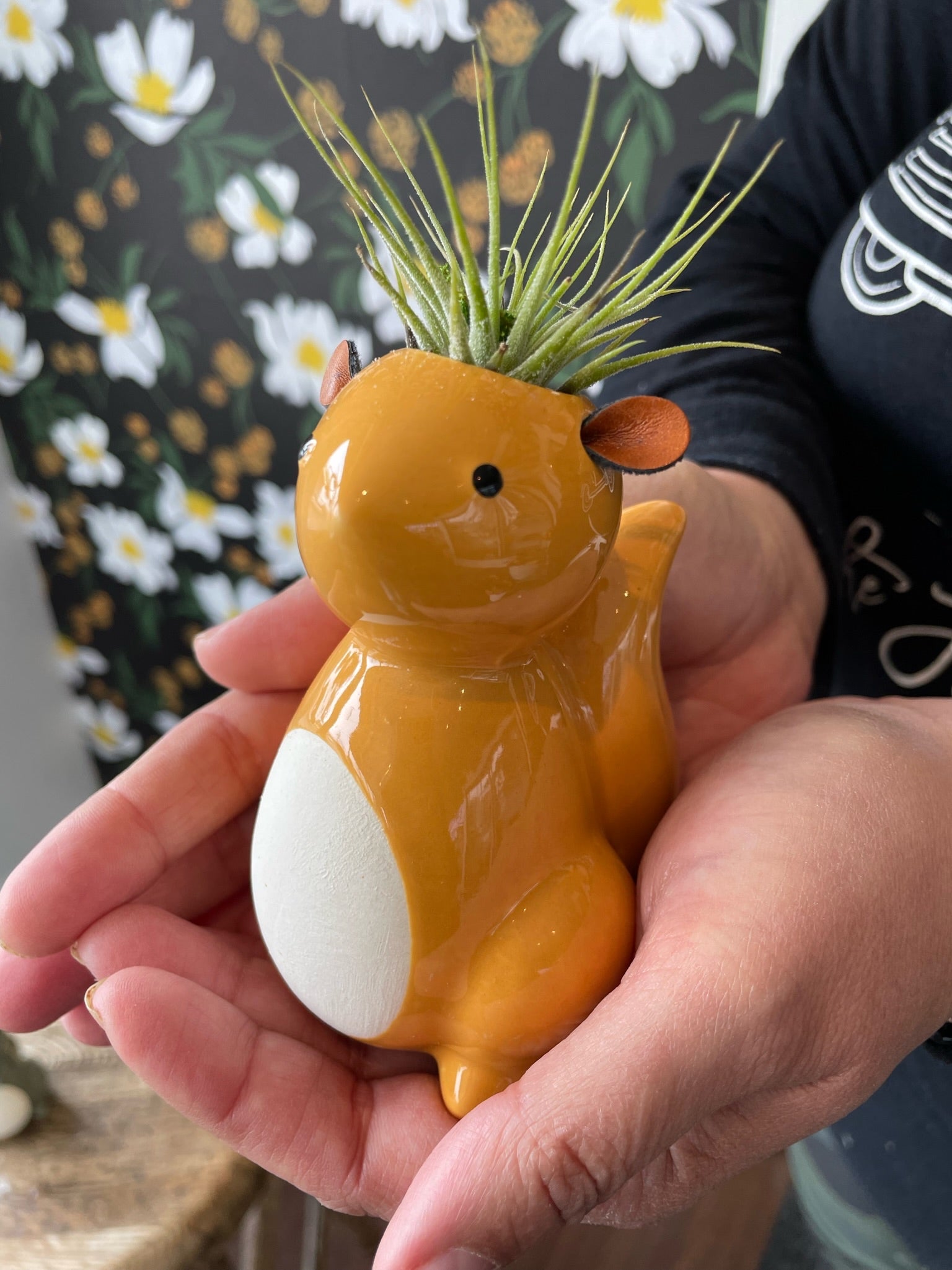 Squirrel Planter with Airplant