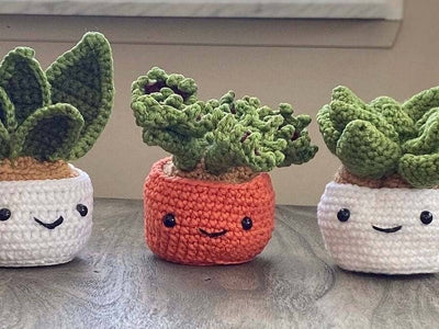 Crochet Succulent Plant, Amigurumi -  Snake Plant