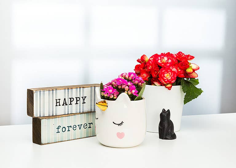 unicorn succulent planter Small Sleeping Unicorn Planter and Succulent