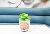 Small Rainbow Planter