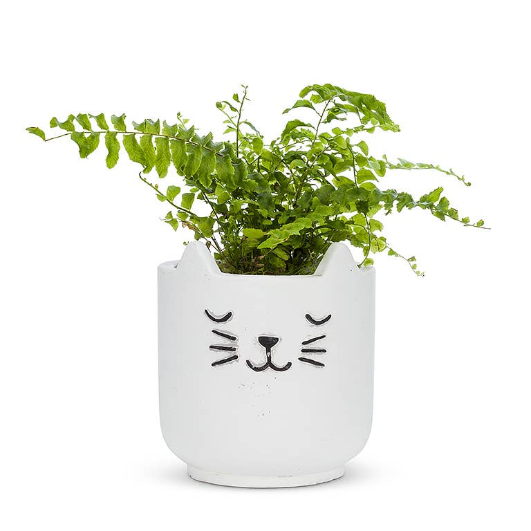 cat succulent planter Small Sleeping Cat Succulent Planter