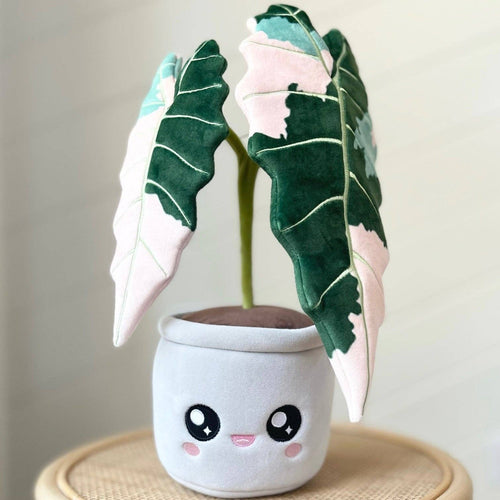 Variegated Alocasia Amazonica Plushie