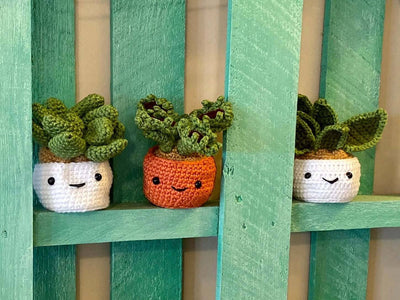 Crochet Succulent Plant, Amigurumi -  Snake Plant