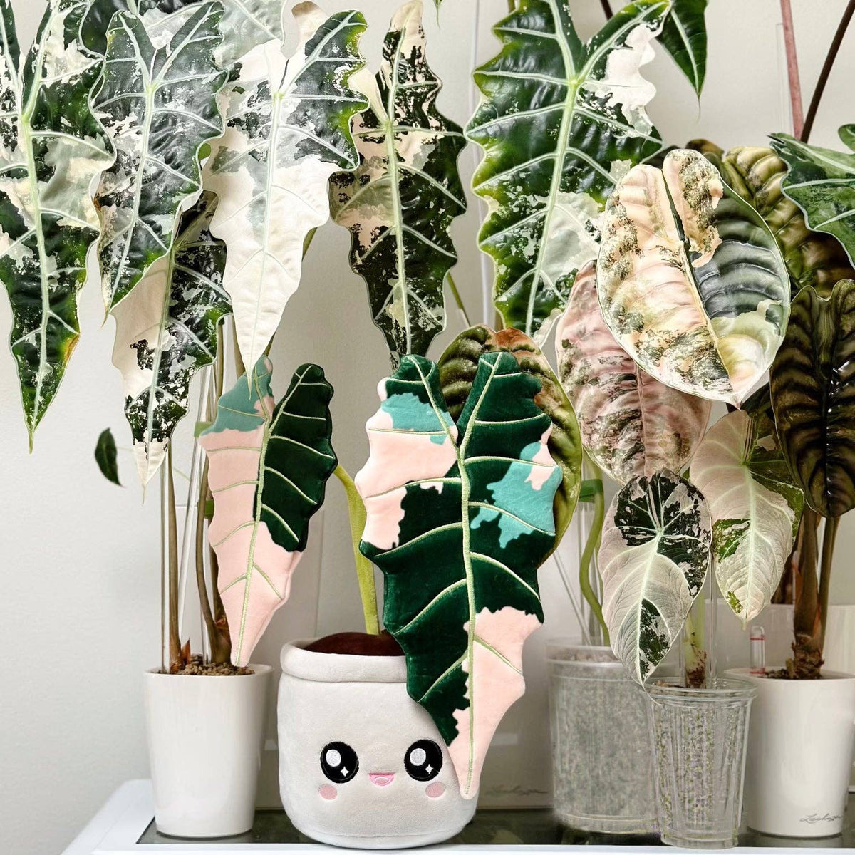 variegated elephant ear plant sympathy Exotic Plant Plushie – A Tropical Touch for Any Space