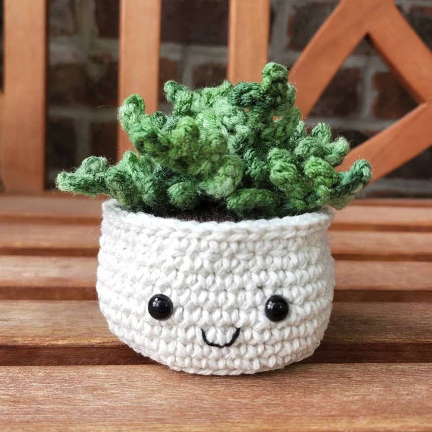 crochet succulent pot Small Crochet Succulent House Plant Plushy
