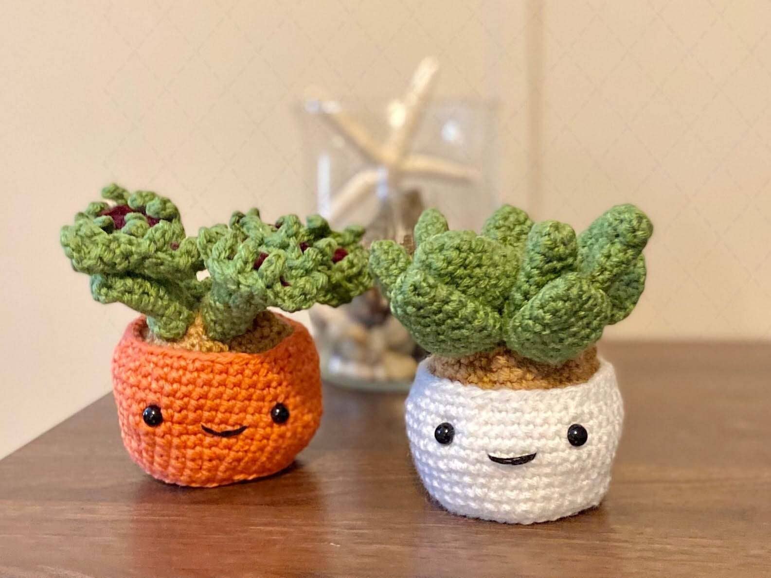 Crochet Succulent Plant, Amigurumi -  Snake Plant
