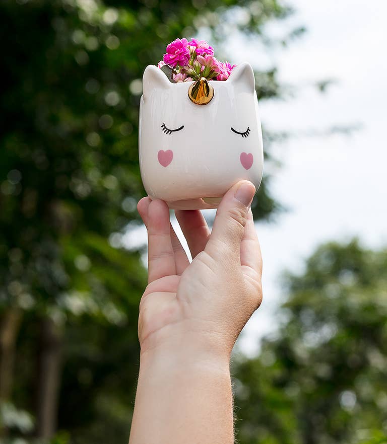 unicorn succulent planter Small Sleeping Unicorn Planter and Succulent