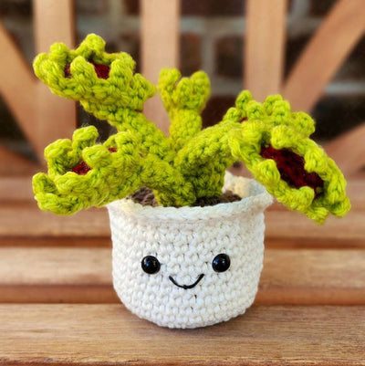 are venus fly traps succulents Crochet Succulent Venus Fly Trap