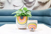 Small Rainbow Planter