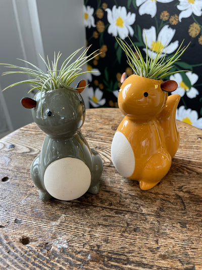 Squirrel Planter with Airplant