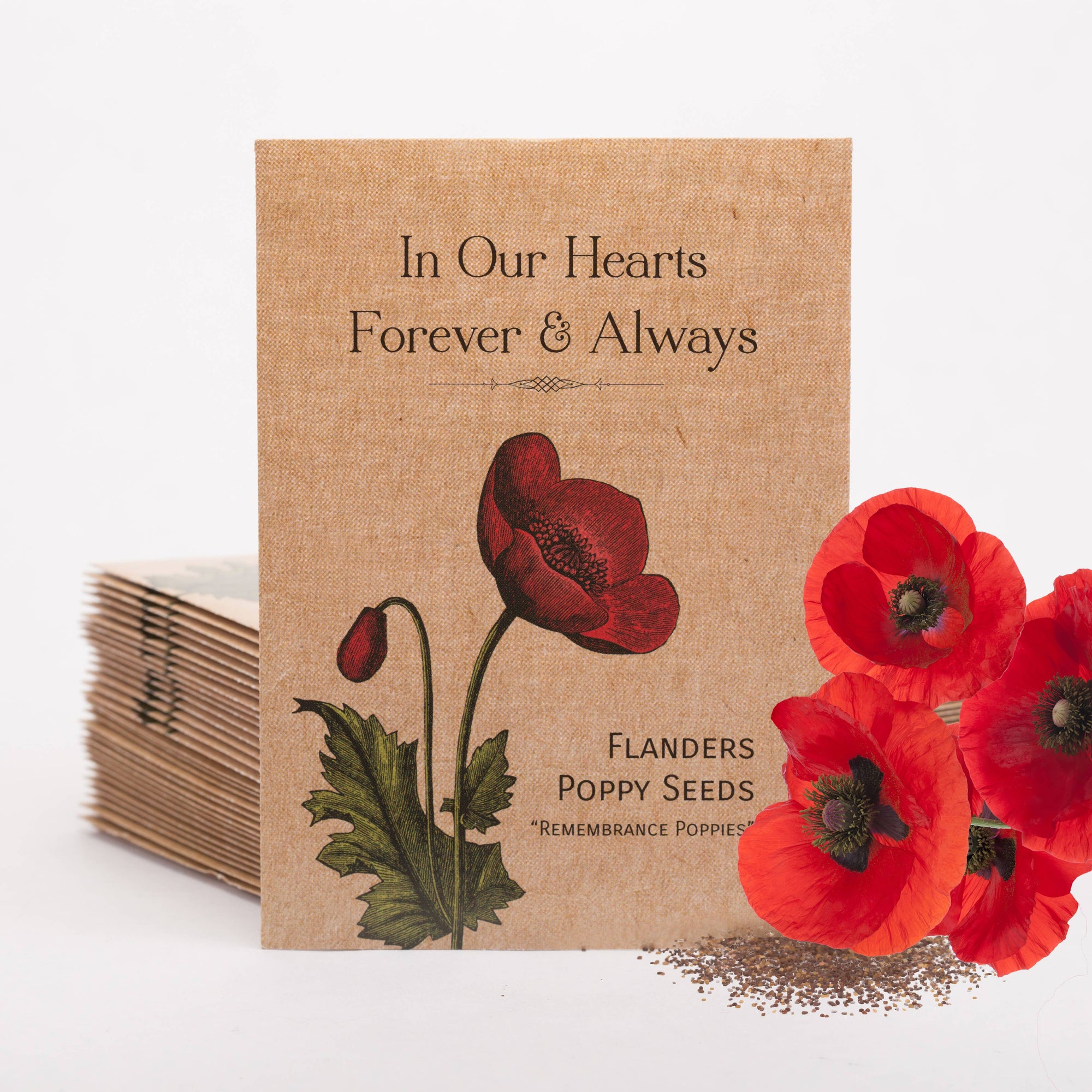 In Our Hearts Remembrance Memorial - Flanders Poppy Seeds
