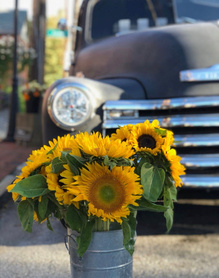 Locally Grown Sunflowers