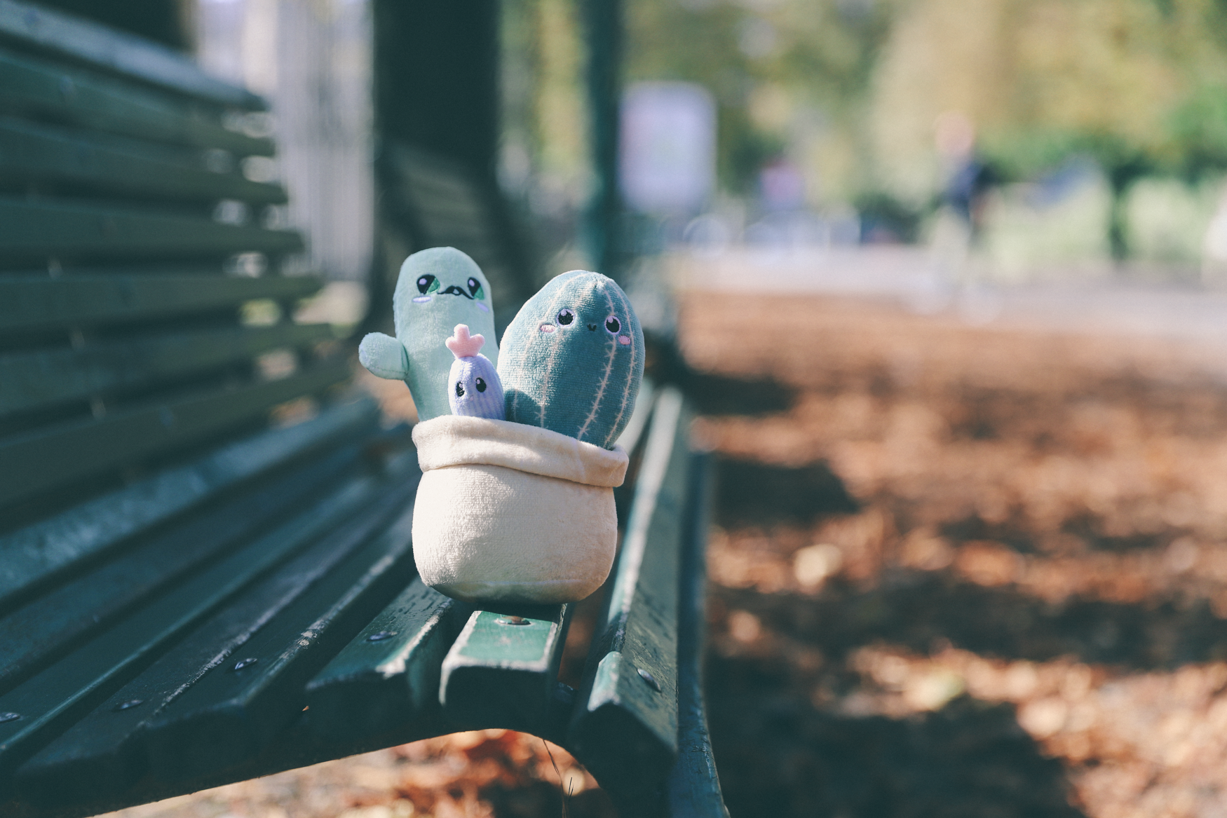 Mr. Cactus & Family Plush
