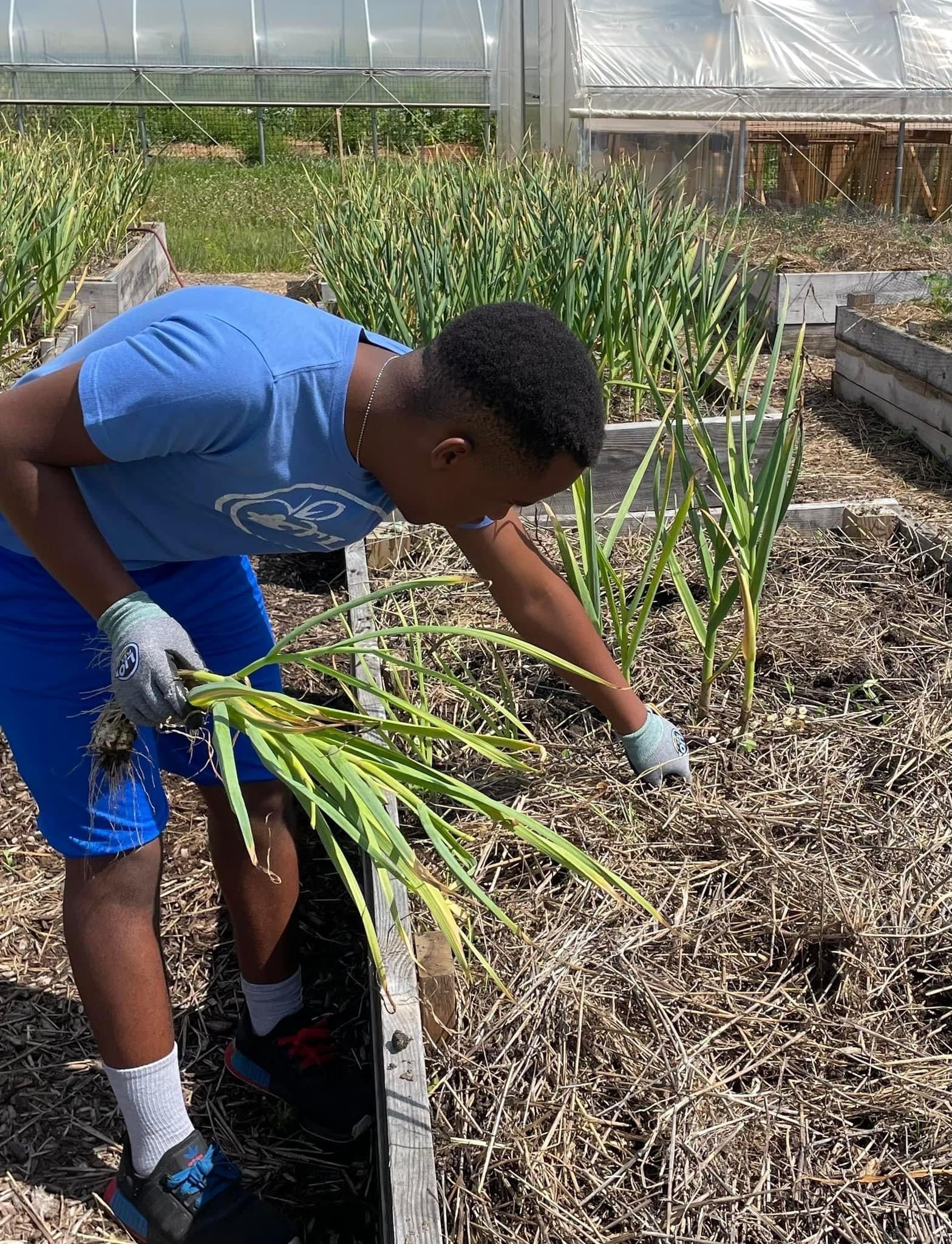 Limited Edition 2023 "So This Is Love" Hand Painted Holiday Ornament