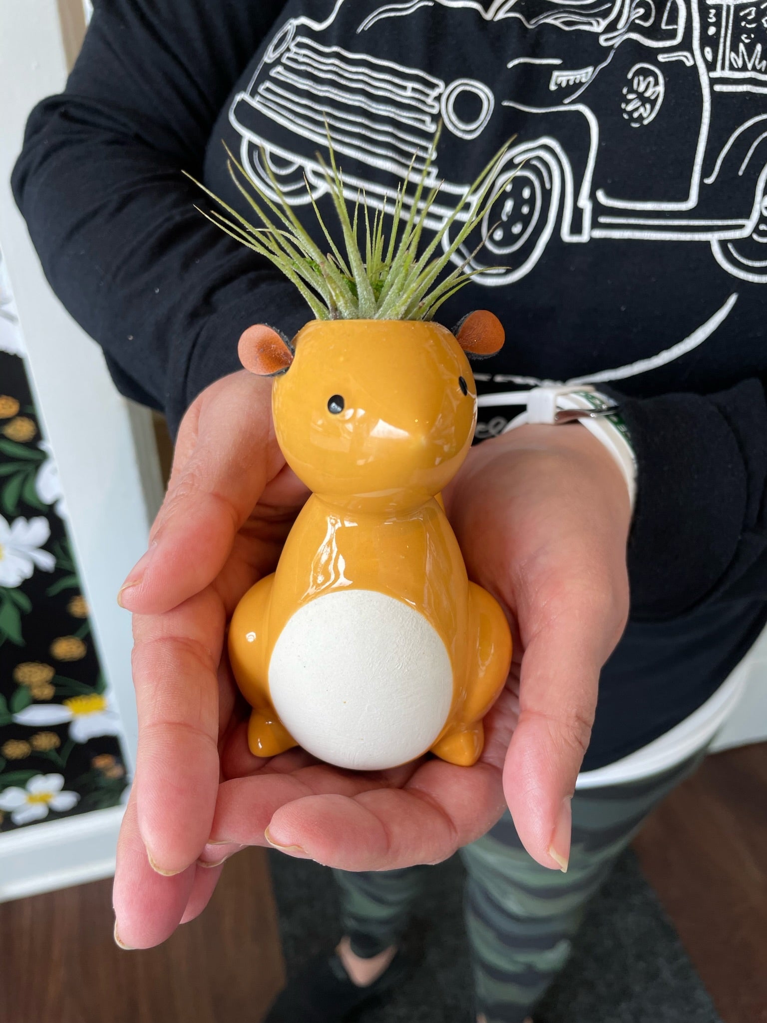 Squirrel Planter with Airplant