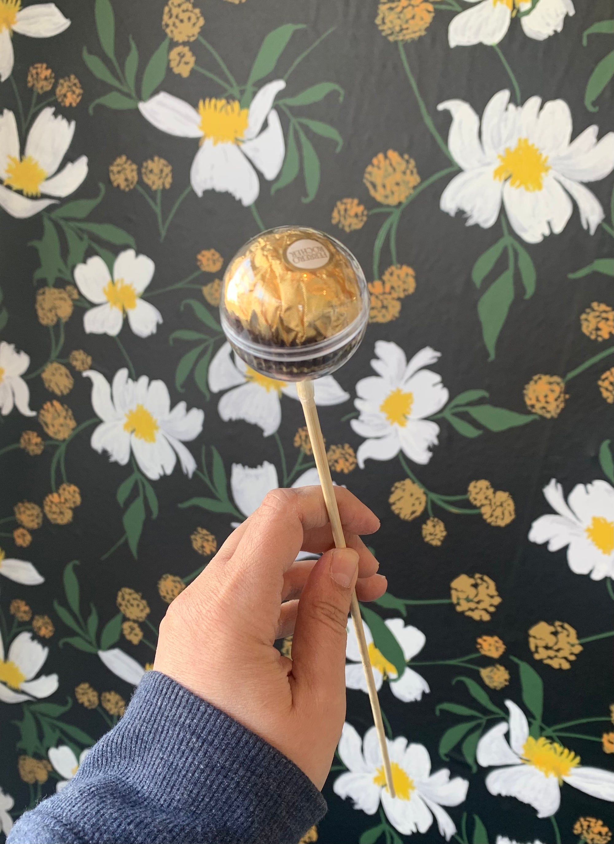 Chocolate Ferrero Rocher Stake