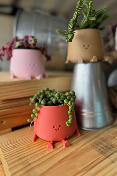 Happy Little Succulent Friend