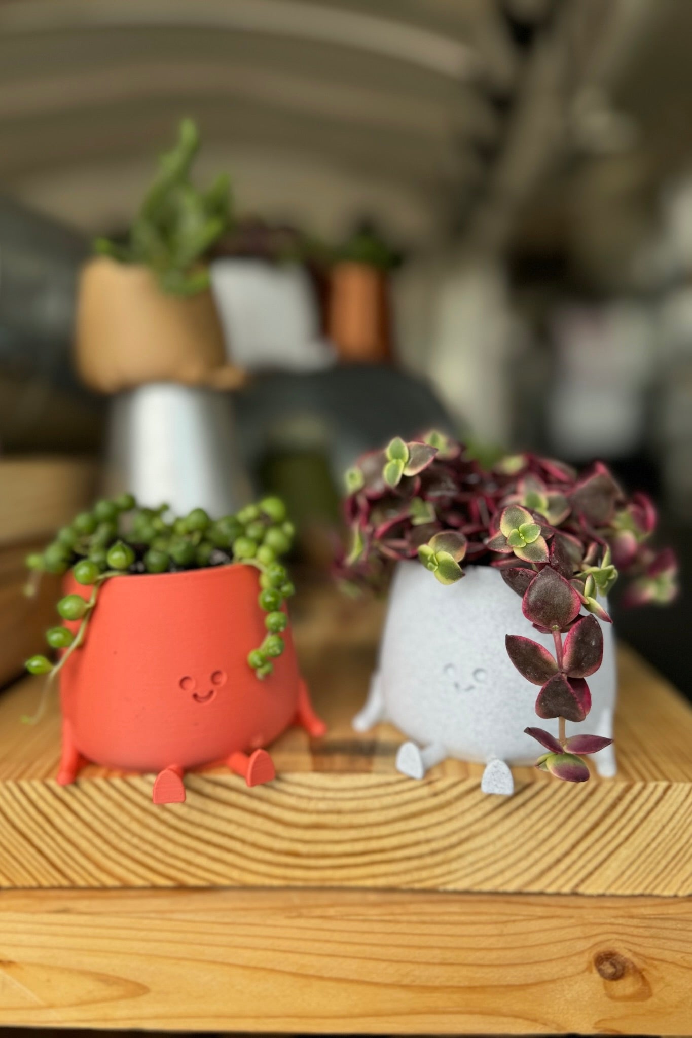 Happy Little Succulent Friend