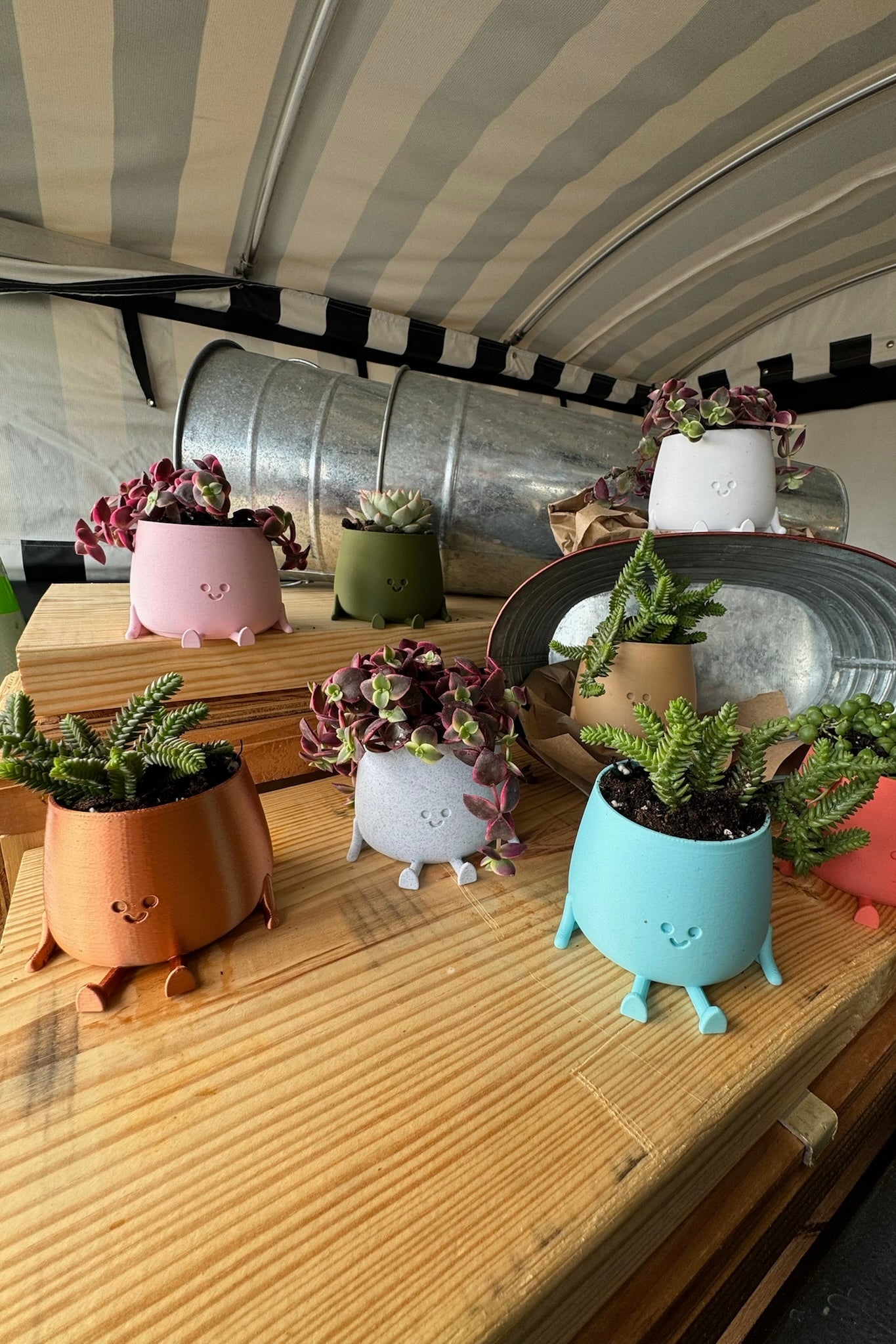 Happy Little Succulent Friend