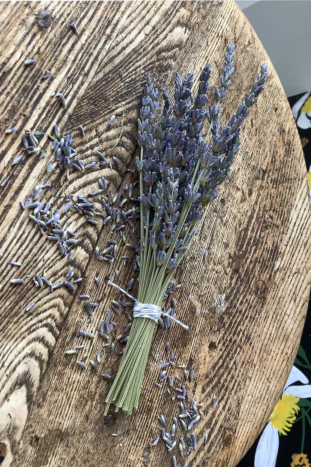 dried lavender plant Mini Dried Lavender Bunch