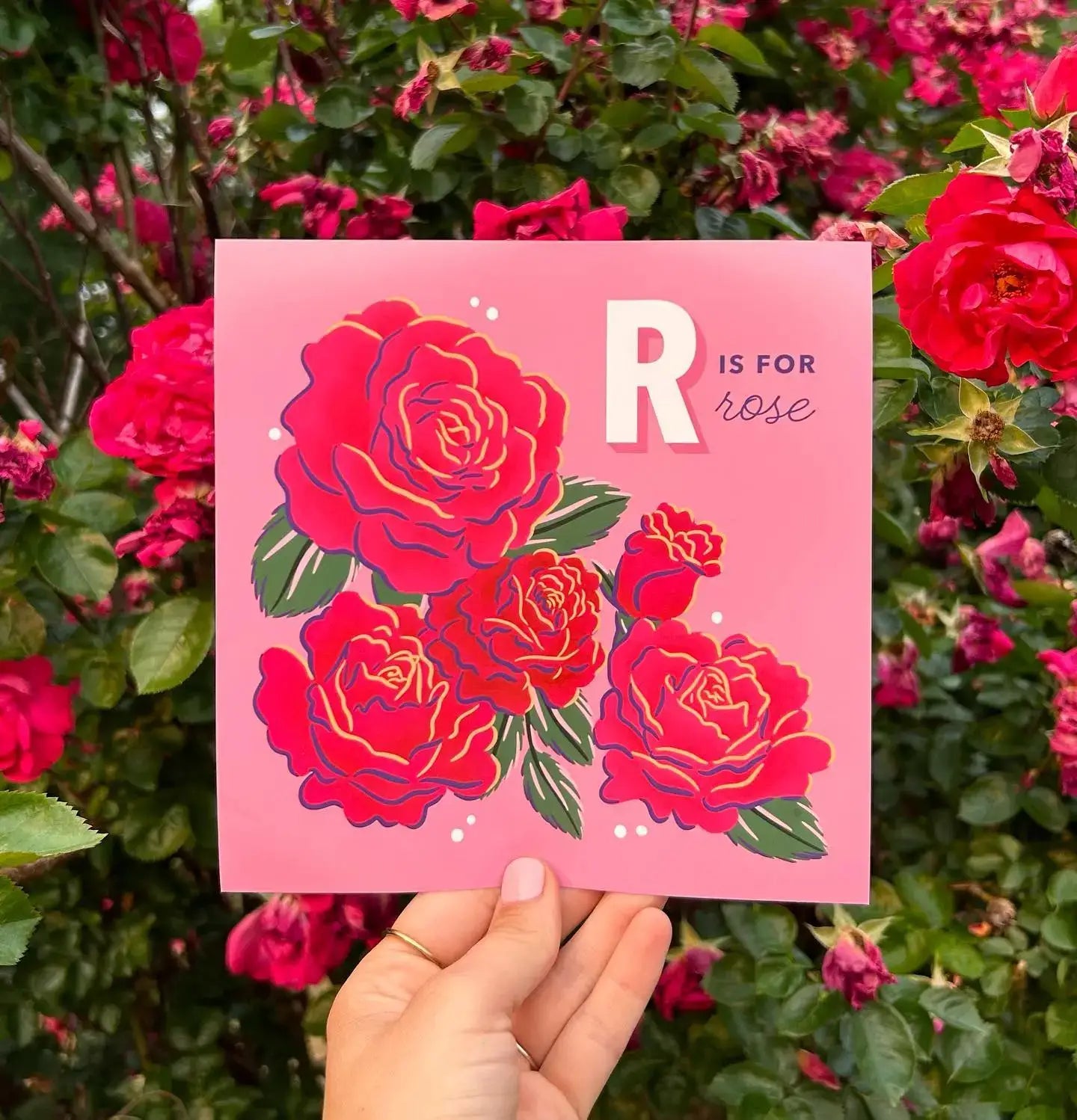 The Alphabet in Bloom Book