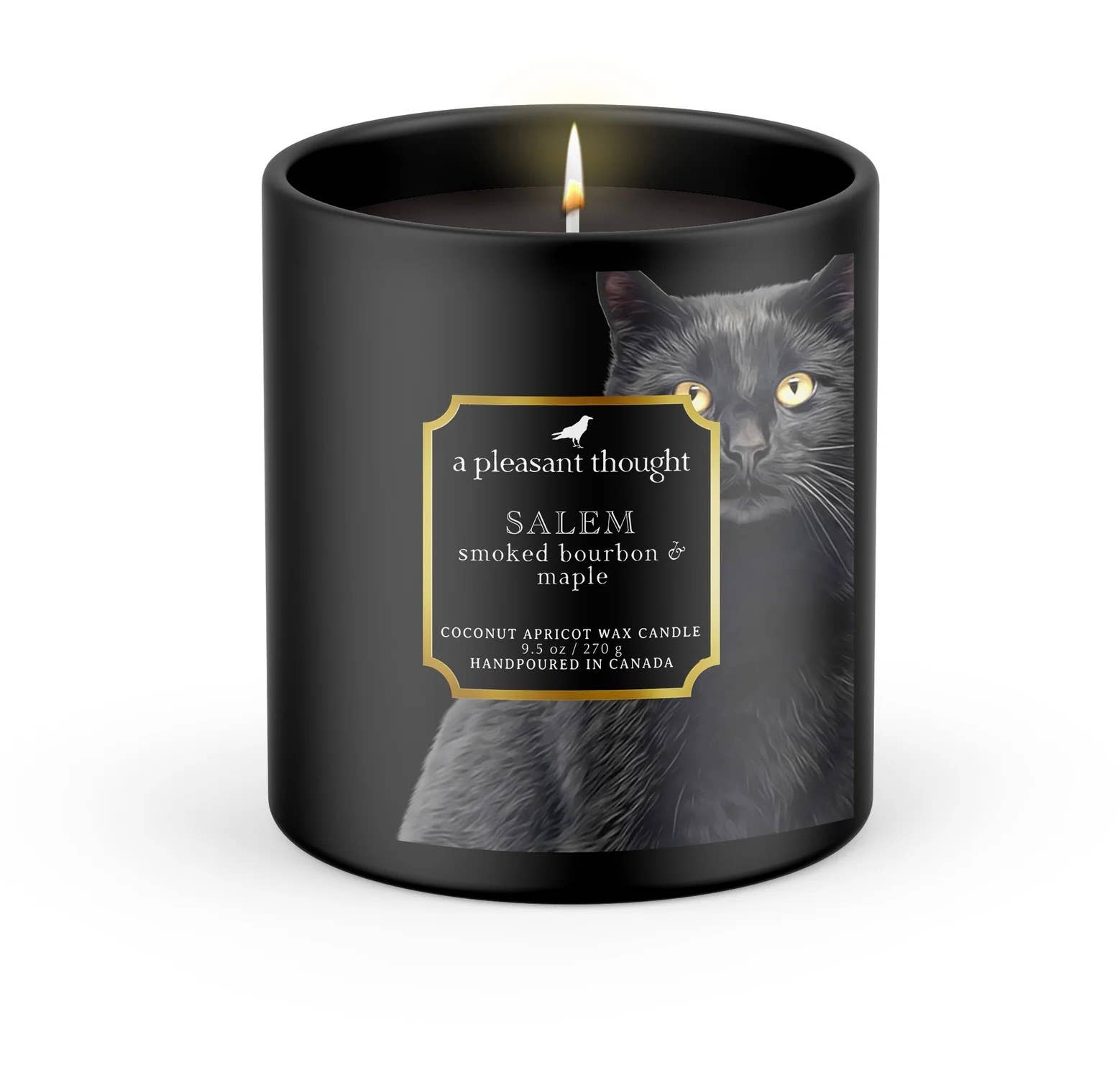 SALEM | SMOKED BOURBON & MAPLE | BLACK CAT CANDLE: Wood Wick