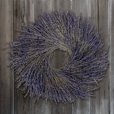 French Lavender Wreath