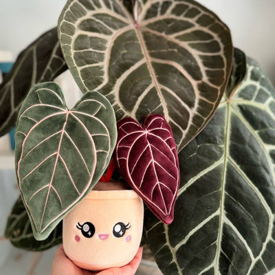 Anthurium Red Crystallinum Plushie