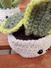 Small Crochet Succulent House Plant Plushy