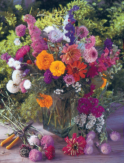 Help the Pollinators Wildflower Seed Packets