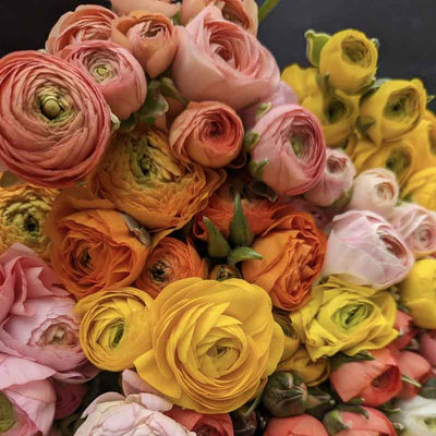 30th Anniversary Special:  30 Blooms Bouquet