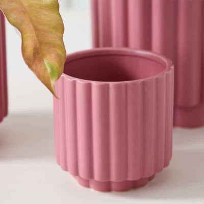 Carmen Pot Pink