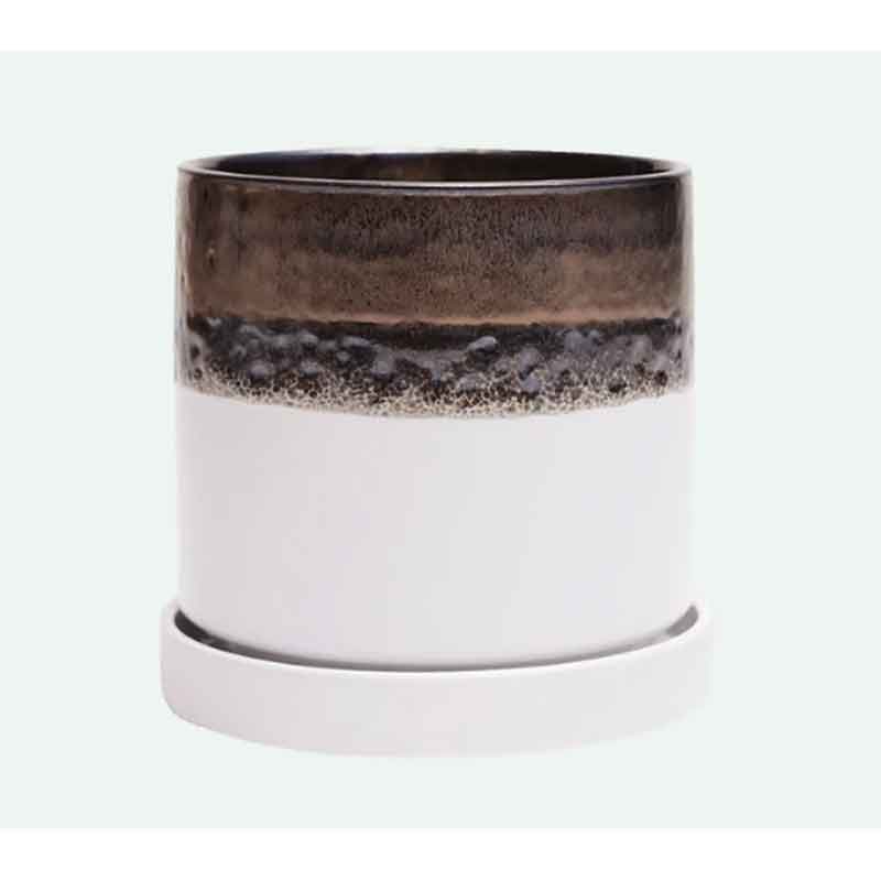 Chive Mini Pot 3"