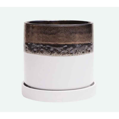 Chive Mini Pot 3"