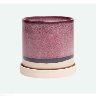 Chive Mini Pot 3"