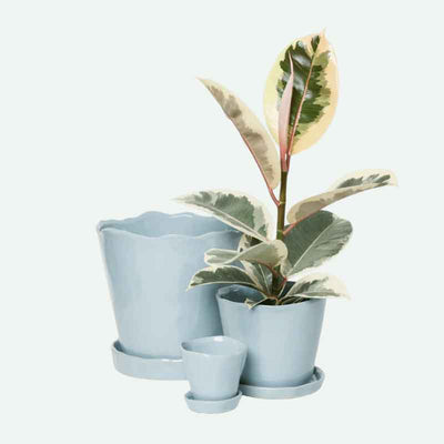 Tika Ceramic Pot with Saucer Set 5"