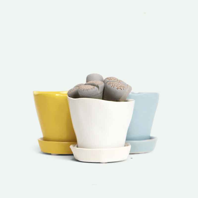 Tika Ceramic Pot with Saucer Set 5"