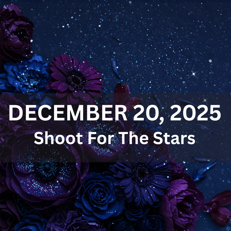 DECEMBER 20 - Shoot For The Stars - Our Most Magical Workshop Series