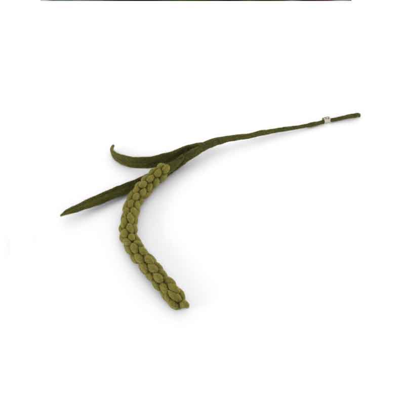 Forever Flower Amaranth